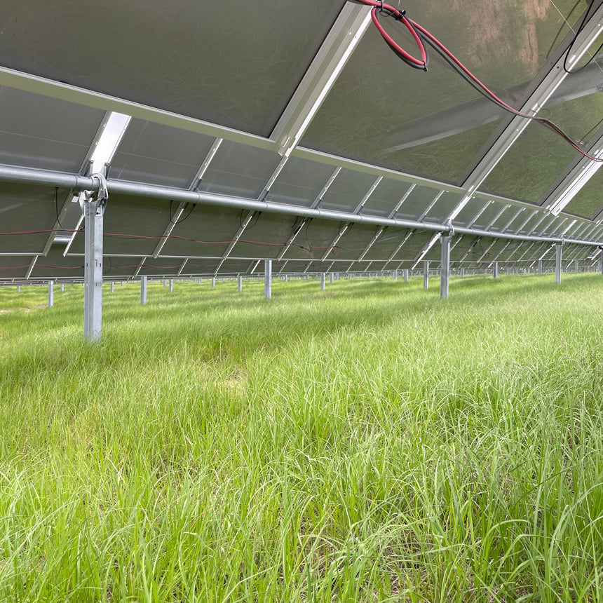 Georgia - 1,360 acres 250MW