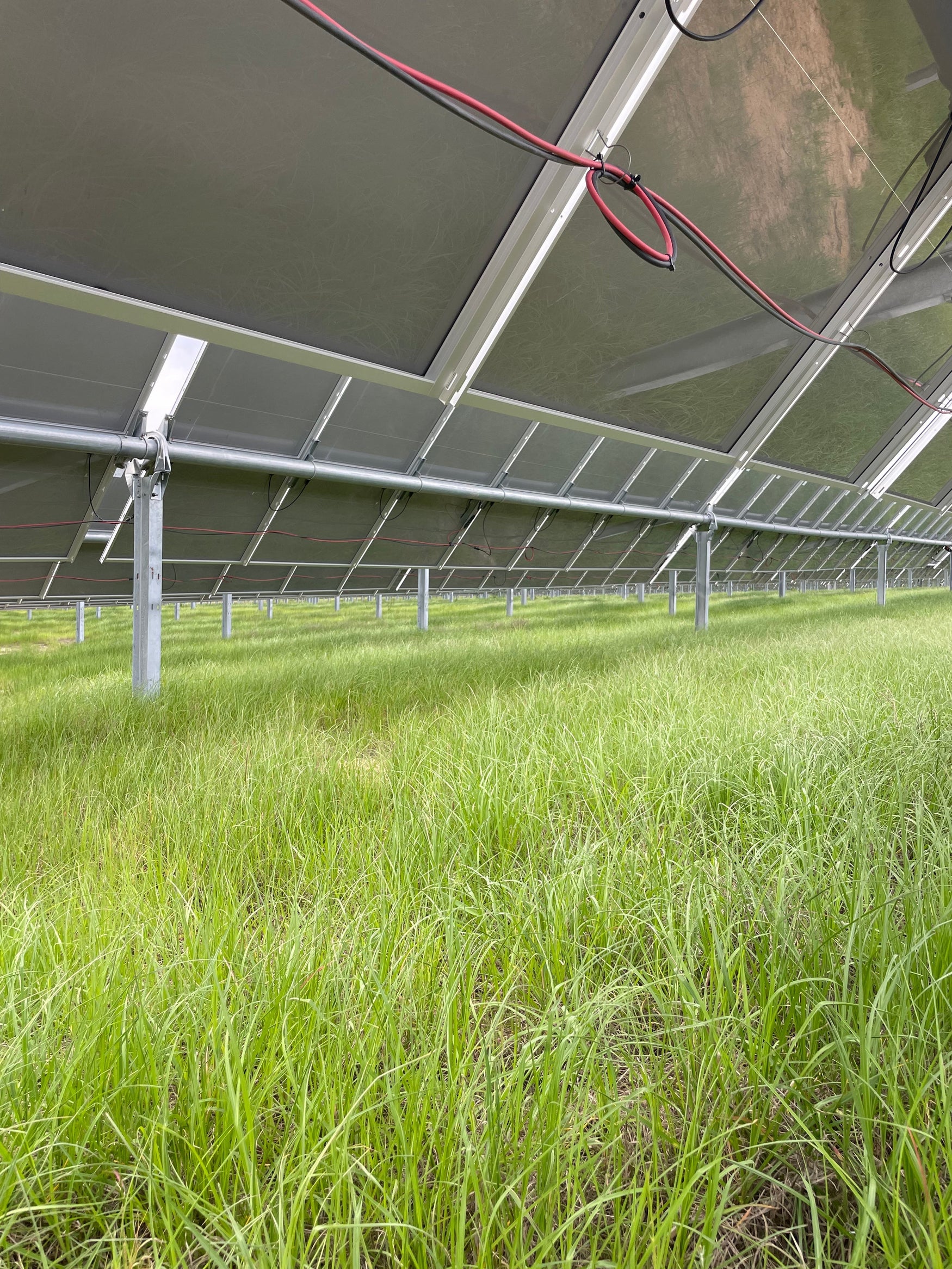 Georgia - 1,360 acres 250MW