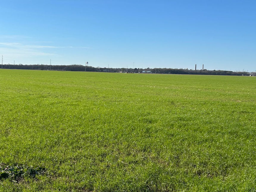 Louisiana - 50 acres 49MW
